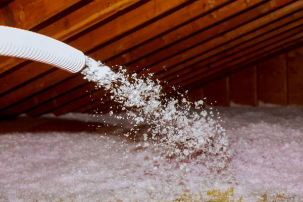 Best Professional Insulation Contractor  in Litchfield, IL