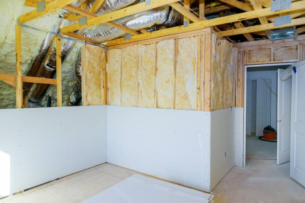 Best Insulation Contractor Near Me  in Litchfield, IL