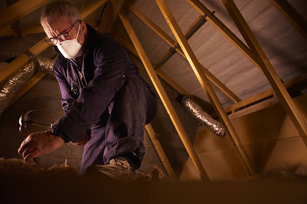 Best Insulation Replacement Services  in Litchfield, IL
