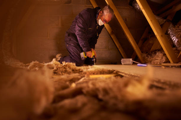 Best Attic Insulation Installation  in Litchfield, IL