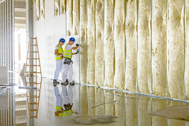 Best Affordable Insulation Services  in Litchfield, IL